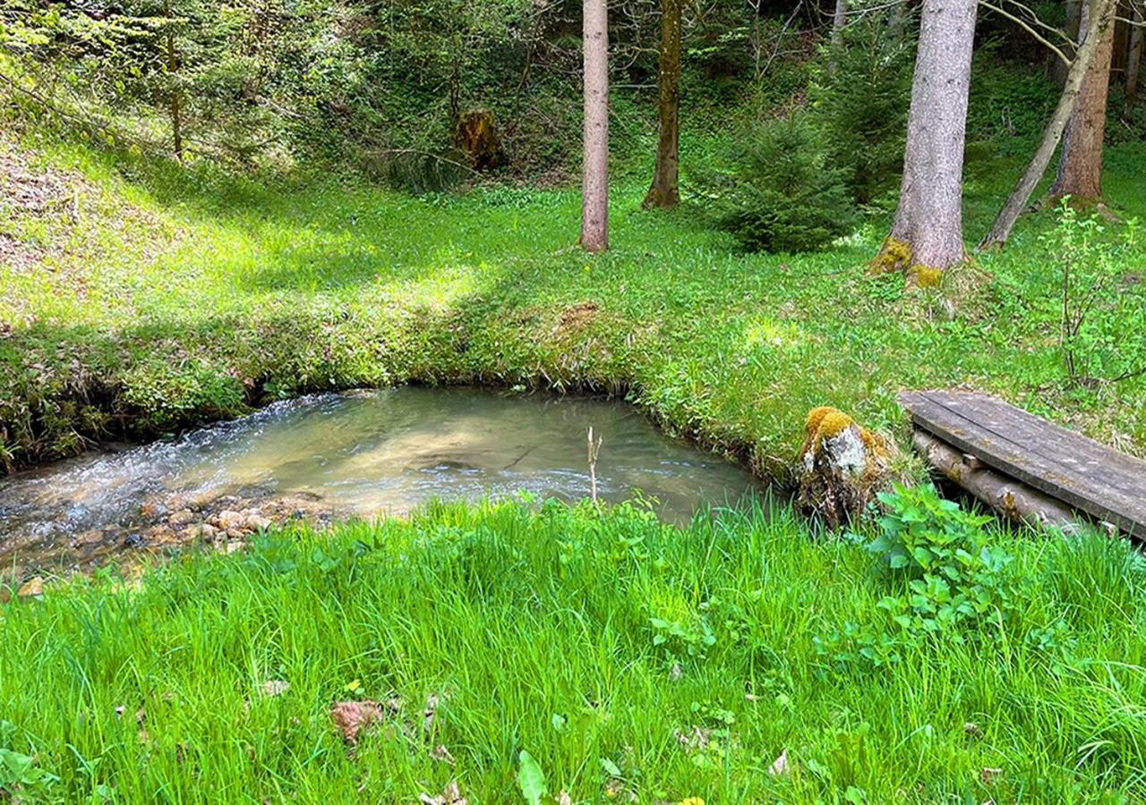 Apartments Fiore Am Naturschwimmbad! Puch  المظهر الخارجي الصورة