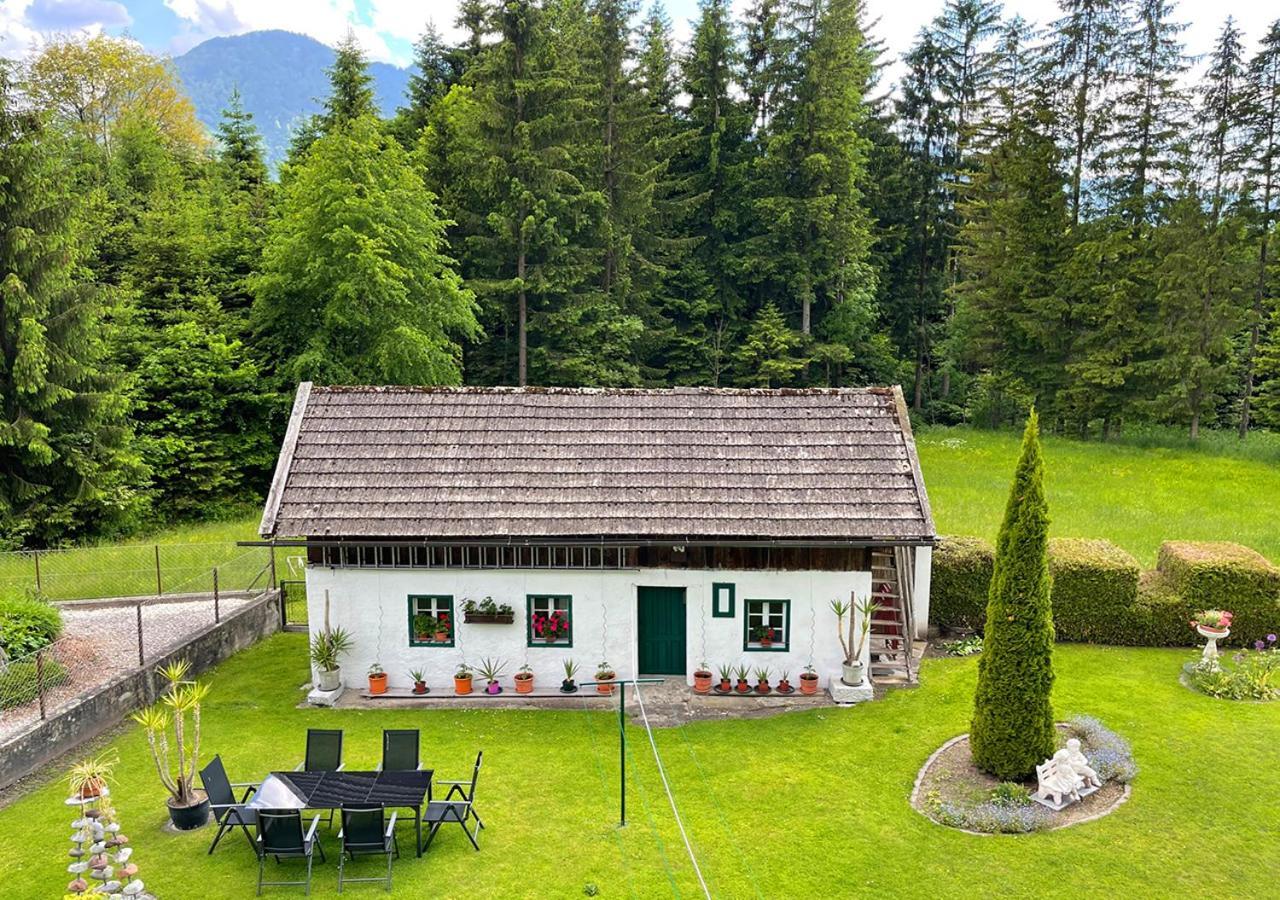 Apartments Fiore Am Naturschwimmbad! Puch  المظهر الخارجي الصورة